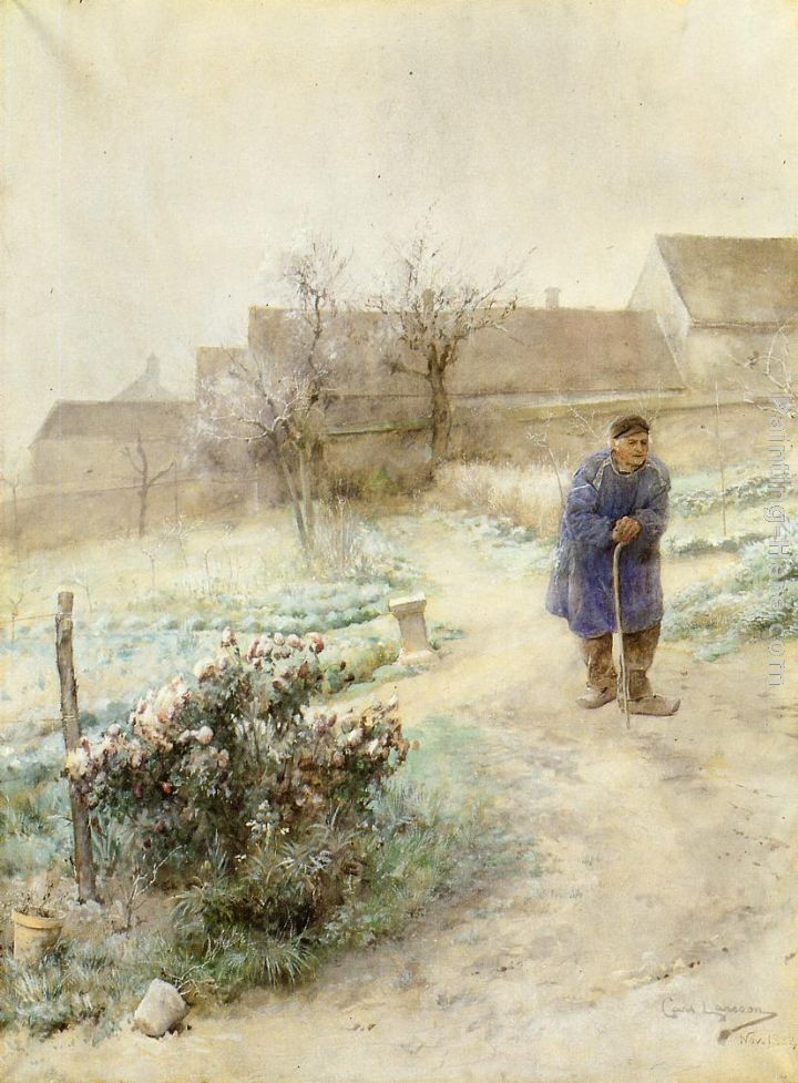 Carl Larsson November